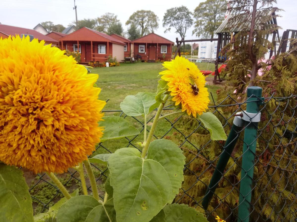 Agroturystyka Domki Eden Sarbinowo Eksteriør billede